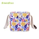 lunch tote